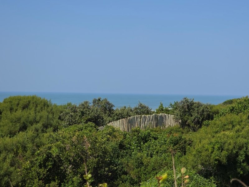 0 Bedroom Property for Sale in Paradise Beach Eastern Cape